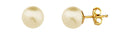 Brinco Pérola Shell 8 mm